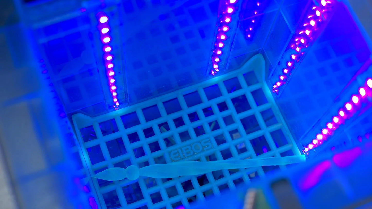 EIBOS Oceanus 3-in-1 | Automatic Resin Post-Processing | Wash, Dry & Cure - Yes, That's 3D Printed