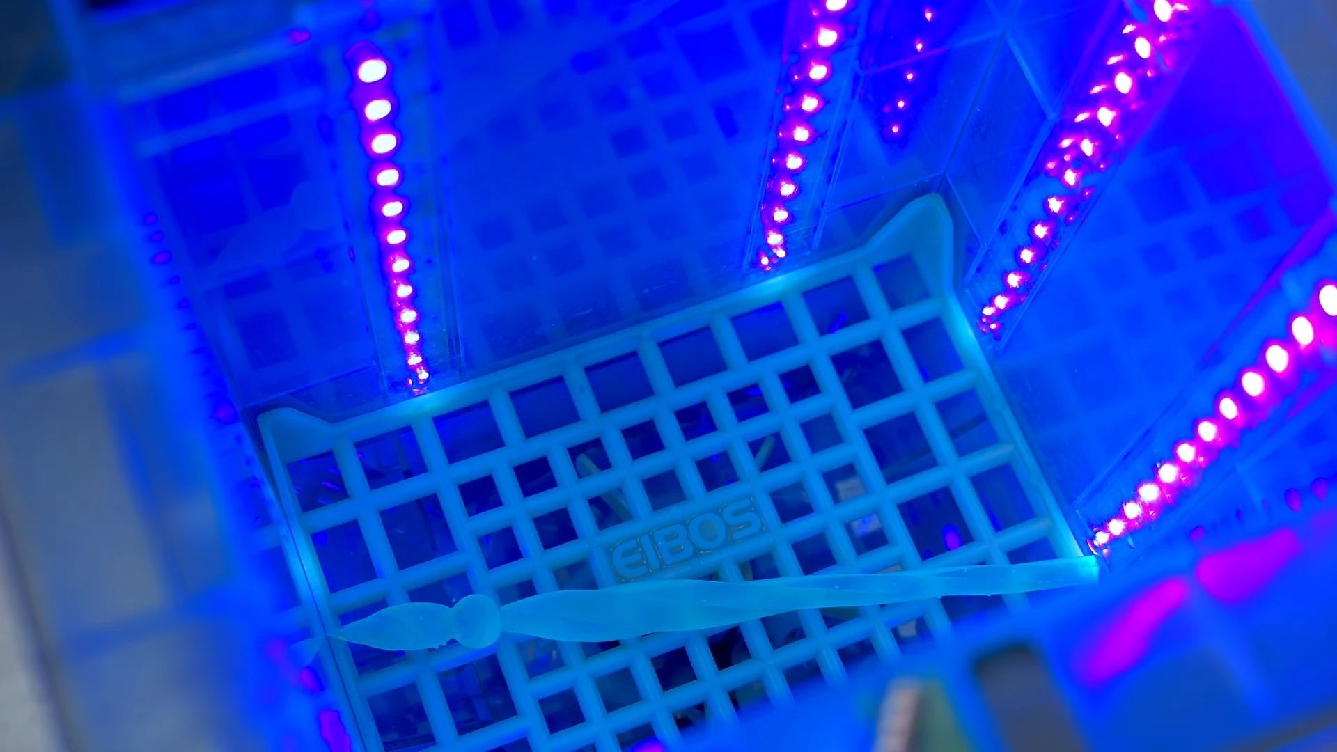 EIBOS Oceanus 3-in-1 | Automatic Resin Post-Processing | Wash, Dry & Cure - Yes, That's 3D Printed
